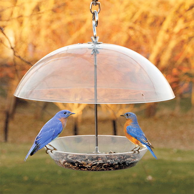 Audubon Domed Wild Bird Feeder