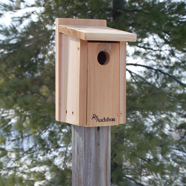Audubon Cedar Bluebird House