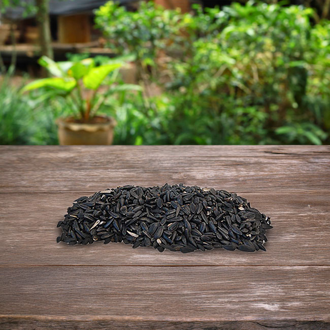 Black Oil Sunflower Seed, 5 lbs.