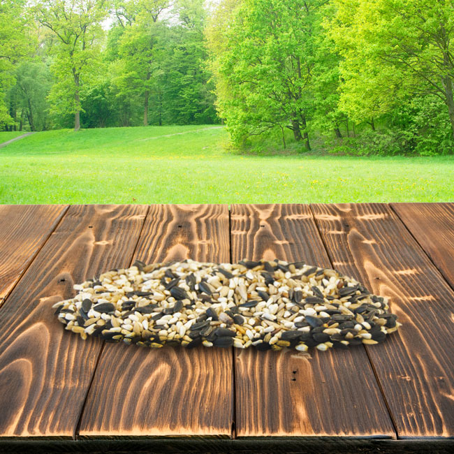 Wild Bird Seed Mix, Cardinal Blend, 5 lbs.