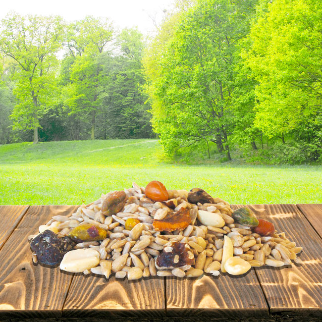 Wild Bird Seed Mix, Shell Free Fruit and Nut, 10 lbs.