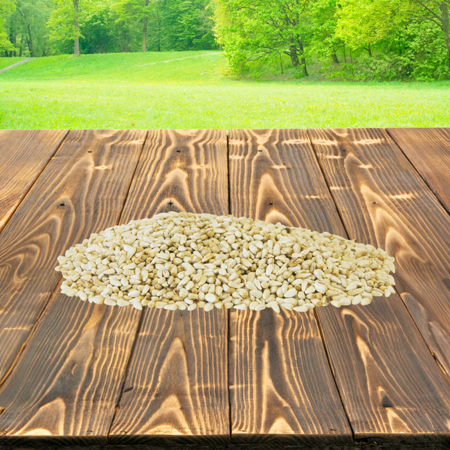 Safflower Seed, 5 lbs.