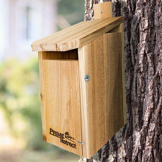 Sparrow-Resistant Eastern Bluebird House by Prime Retreat