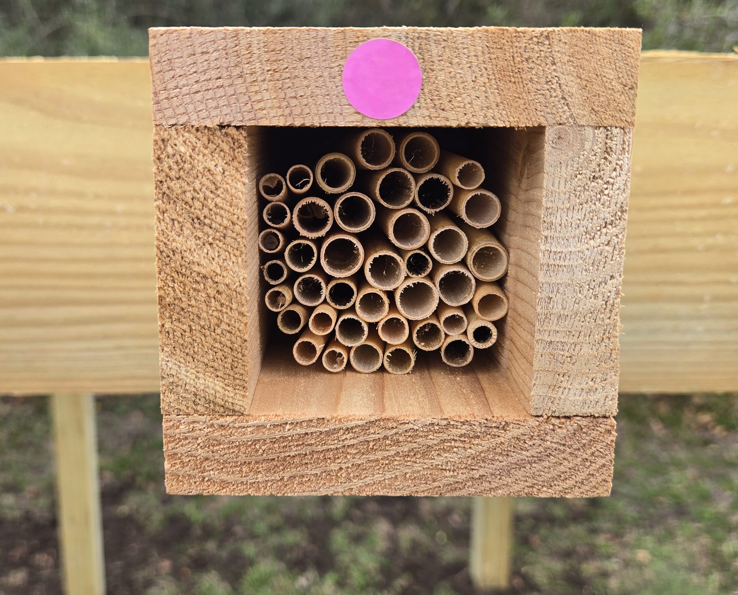 Cedar Hollar Custom Native Solitary Bee Nest Box